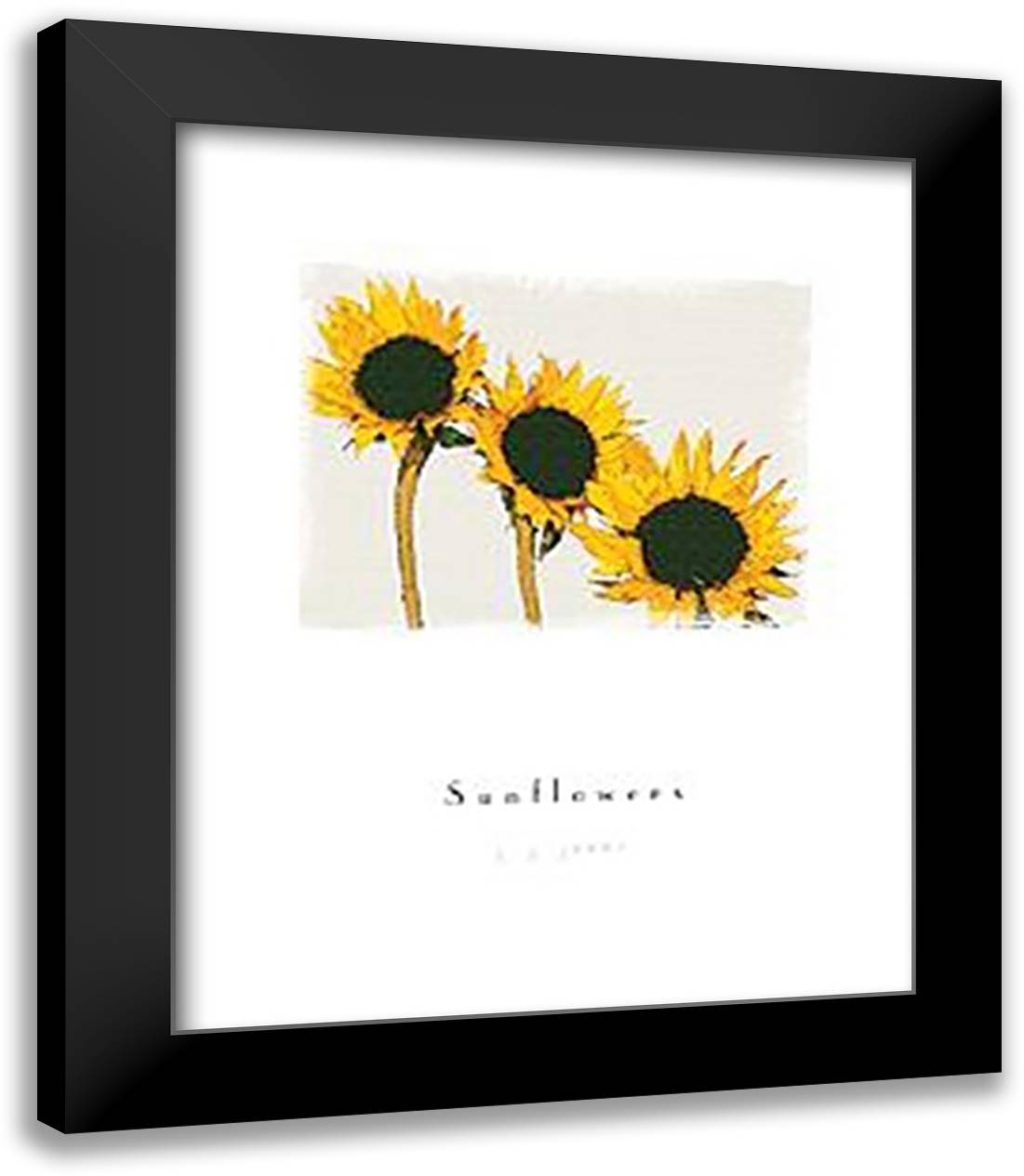 Sunflowers 15x18 Black Modern Wood Framed Art Print Poster by Jones, John