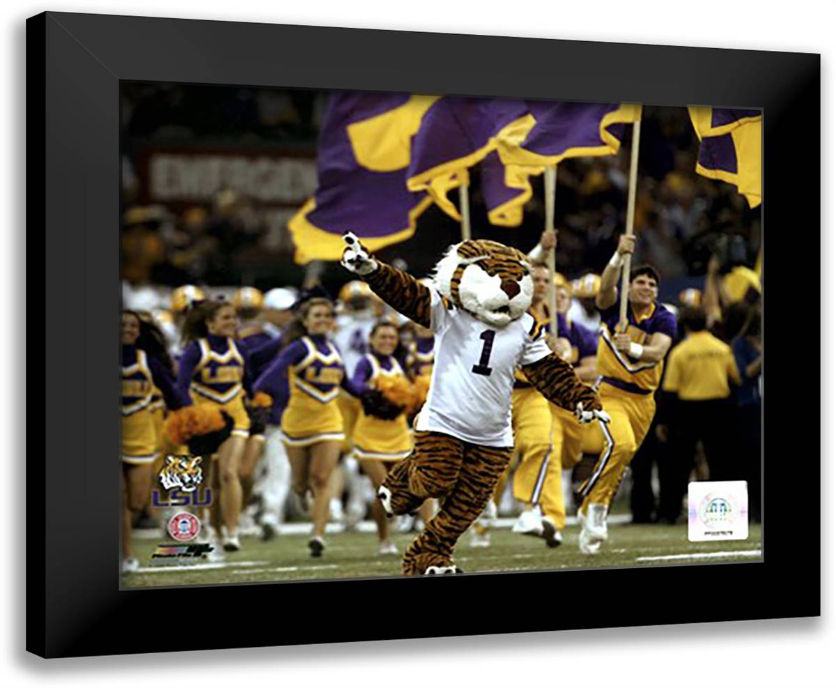 Louisiana State University, LSU Tiger Mascot 2008 14x12 Black Modern Wood Framed Art Print Poster