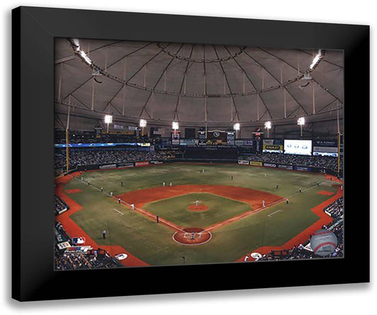 Tropicana Field 2010 14x12 Black Modern Wood Framed Art Print Poster