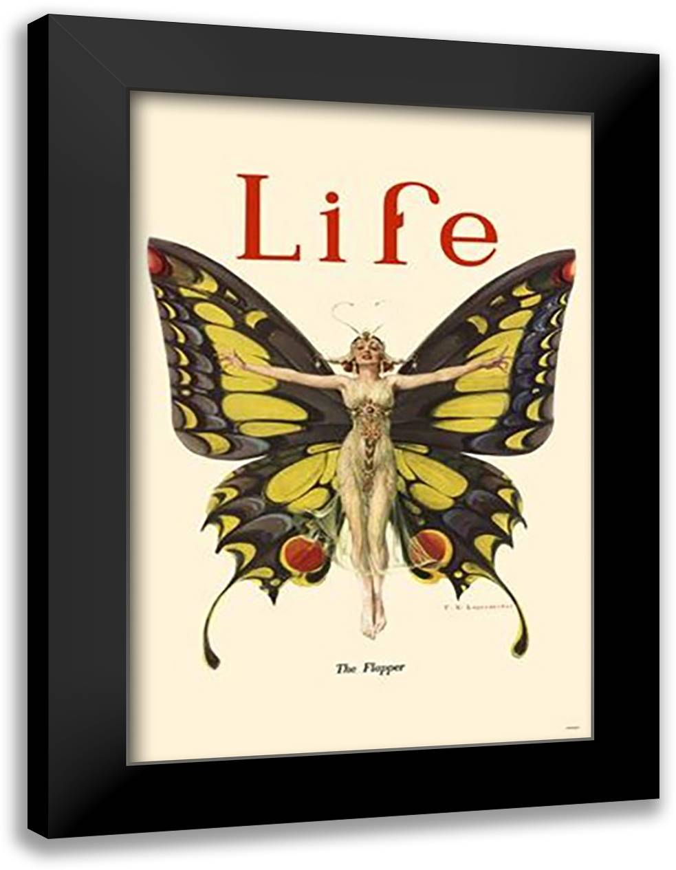 Life Butterfly 15x21 Black Modern Wood Framed Art Print Poster