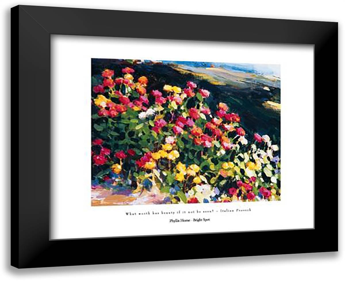 Bright Spot 18x15 Black Modern Wood Framed Art Print Poster by Horne, Phyllis