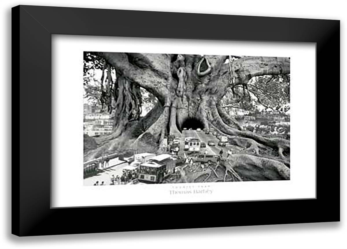 Barbey-Tourist Trap 40x28 Black Modern Wood Framed Art Print Poster by Barbey, Thomas