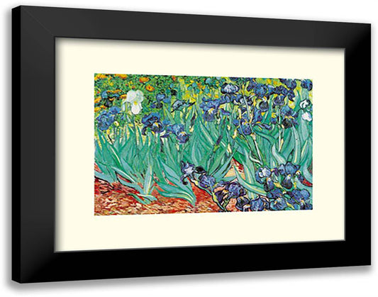 Irises 20x16 Black Modern Wood Framed Art Print Poster by Van Gogh, Vincent