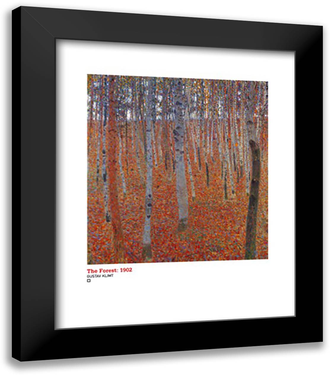 Forest of Beeches, c.1903 20x24 Black Modern Wood Framed Art Print Poster by Klimt, Gustav