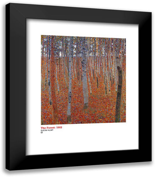 Forest of Beeches, c.1903 20x24 Black Modern Wood Framed Art Print Poster by Klimt, Gustav