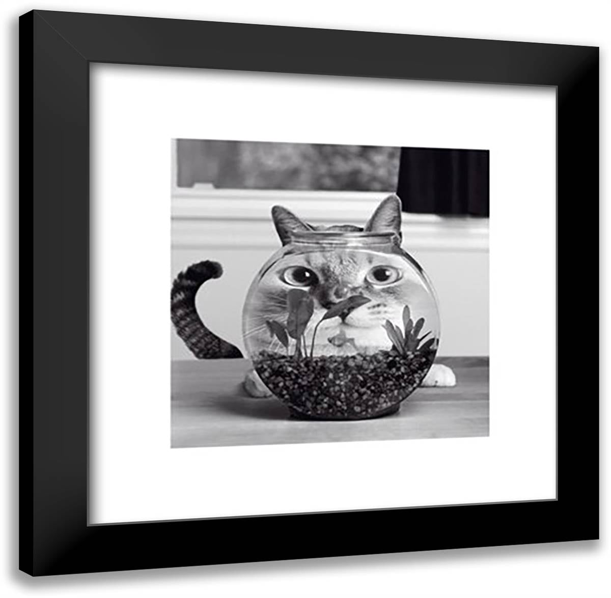 Cat Fish 20x20 Black Modern Wood Framed Art Print Poster by Conger, Cydney