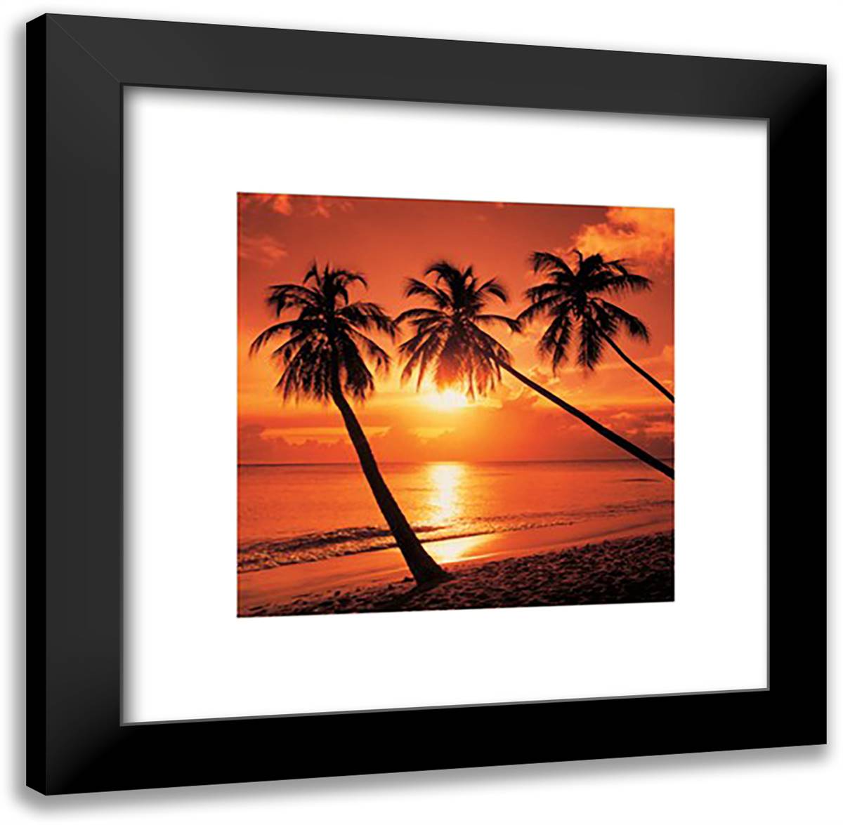 Tropical Sunset 20x20 Black Modern Wood Framed Art Print Poster by Thomas, Bob