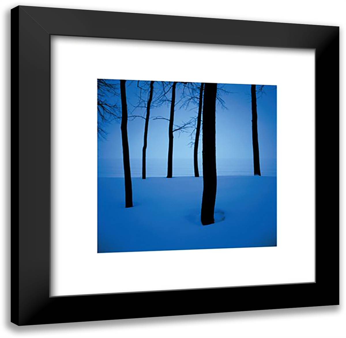 Trees in Snow 20x20 Black Modern Wood Framed Art Print Poster by Wood, Ted