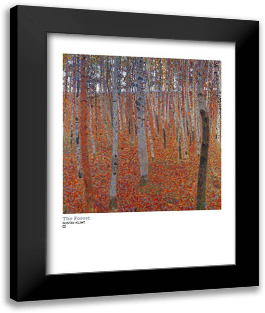 Forest 28x36 Black Modern Wood Framed Art Print Poster by Klimt, Gustav