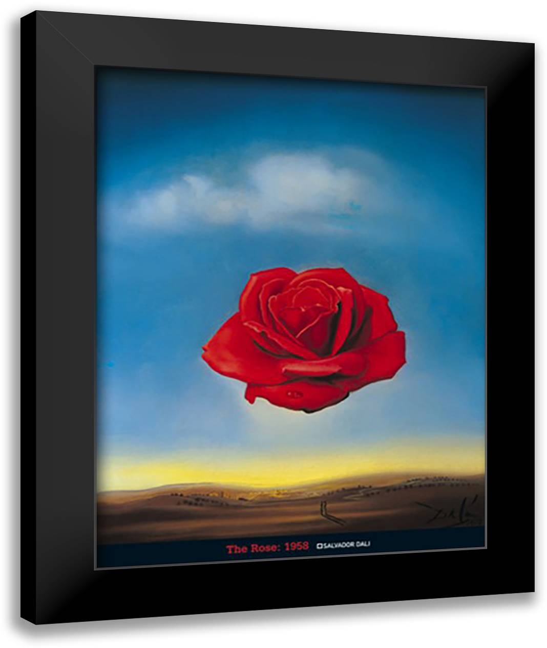 The Rose 28x36 Black Modern Wood Framed Art Print Poster by Dali, Salvador