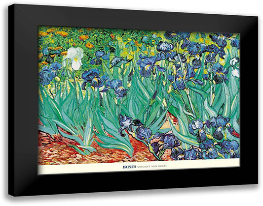 Irises 36x28 Black Modern Wood Framed Art Print Poster by Van Gogh, Vincent