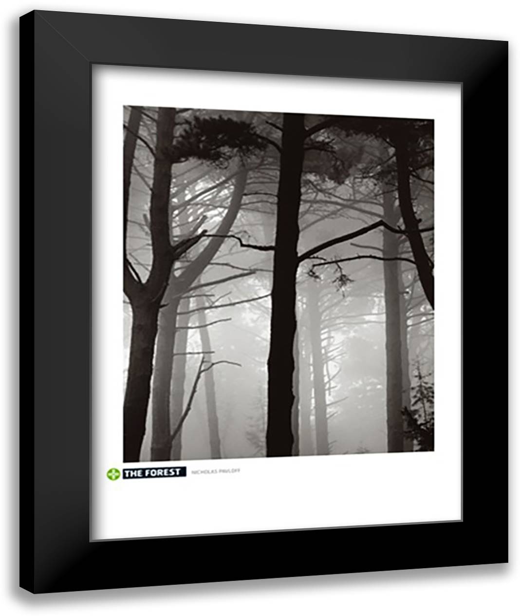 The Forest 28x36 Black Modern Wood Framed Art Print Poster by Pavloff, Nicholas