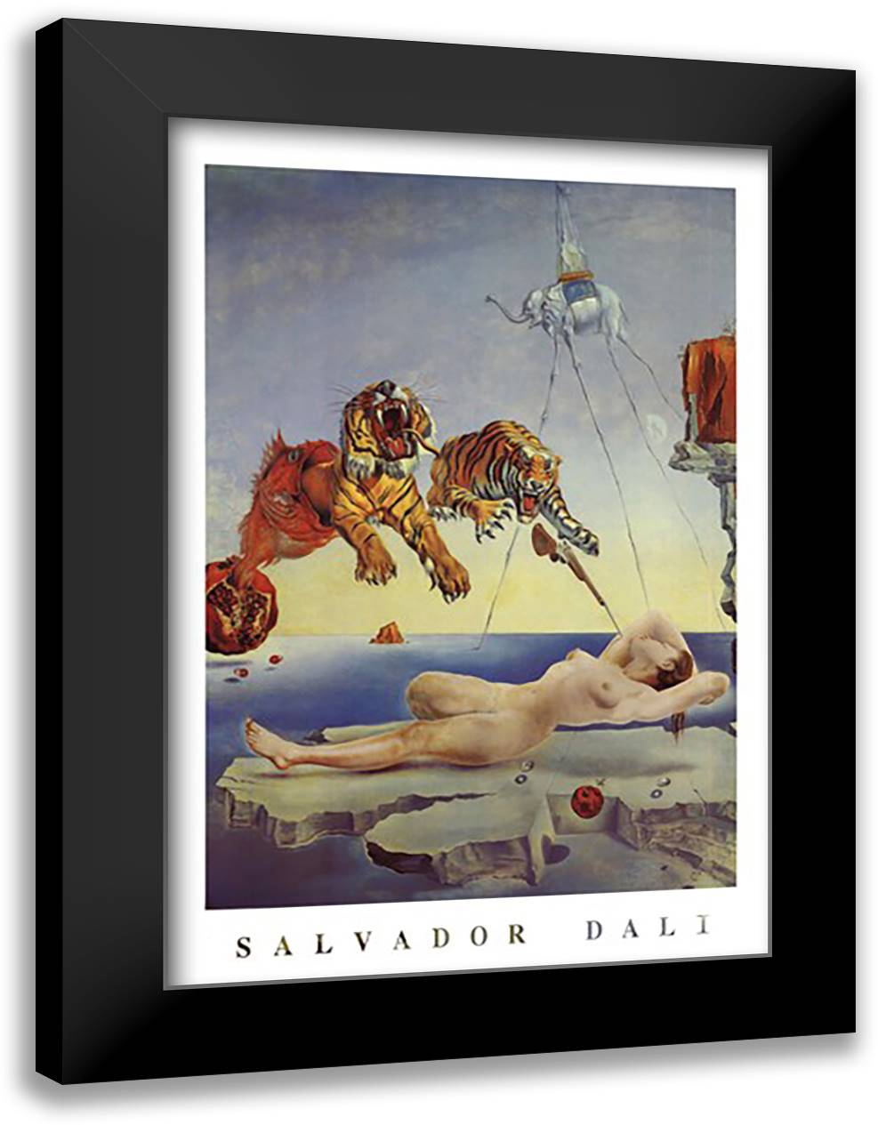 Dream Caused by the Flight of a Bee Around a Pomegranate, A Second Before Awakening, c.1944 28x40 Black Modern Wood Framed Art Print Poster by Dali, Salvador