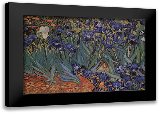 Irises, Saint-Remy, c.1889 40x28 Black Modern Wood Framed Art Print Poster by Van Gogh, Vincent