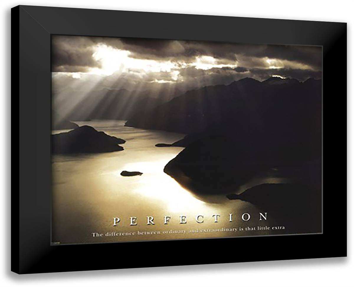Perfection 24x20 Black Modern Wood Framed Art Print Poster