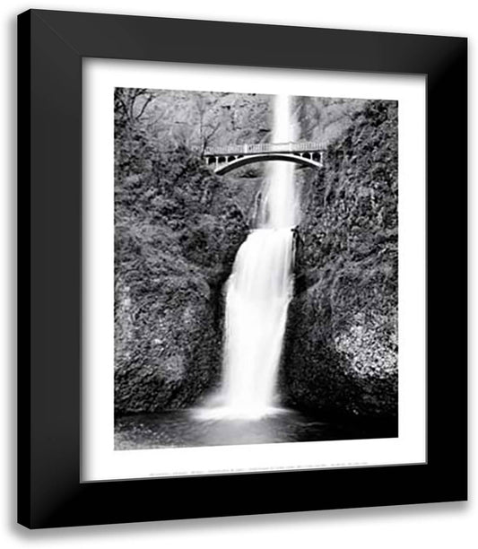 Waterfall Bridge 15x18 Black Modern Wood Framed Art Print Poster