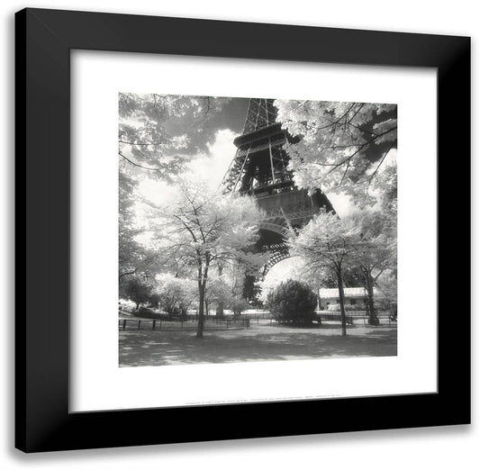 Afternoon in Paris 20x20 Black Modern Wood Framed Art Print Poster