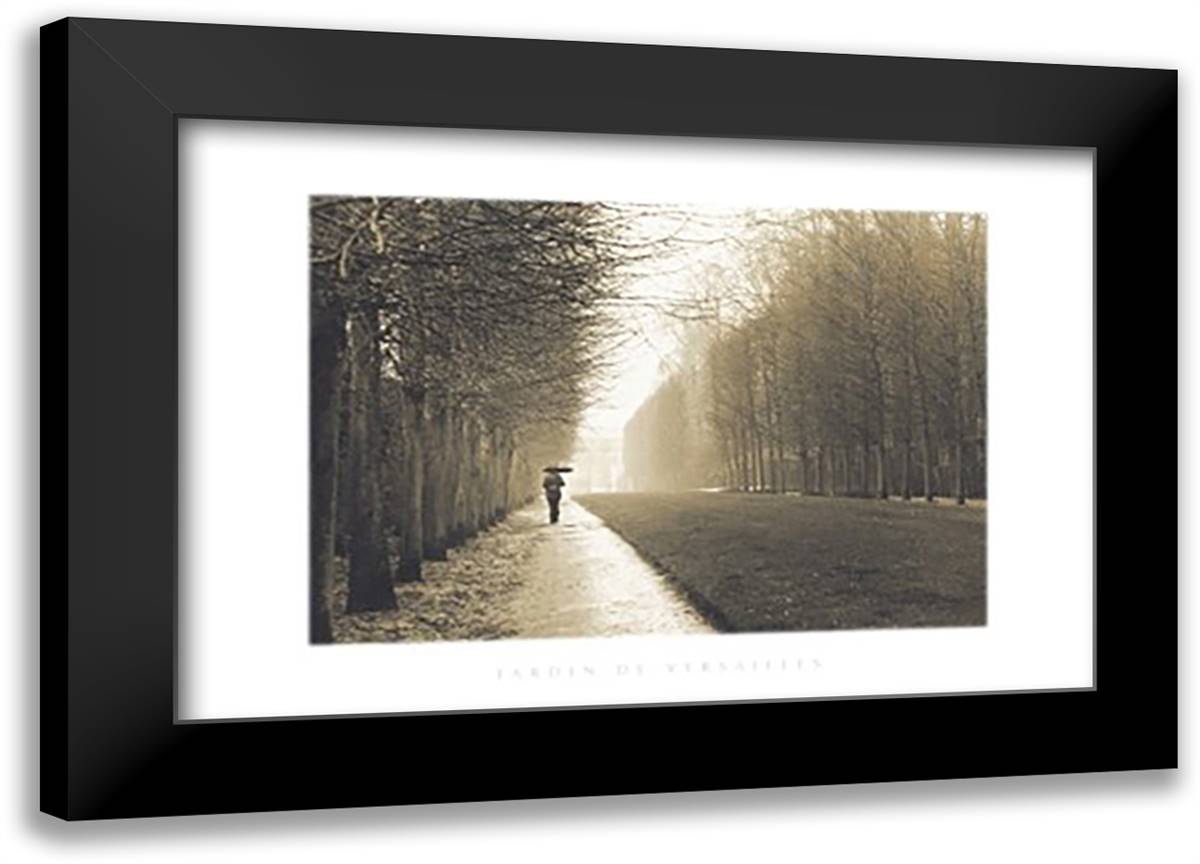 Jardin de Versailles 40x28 Black Modern Wood Framed Art Print Poster