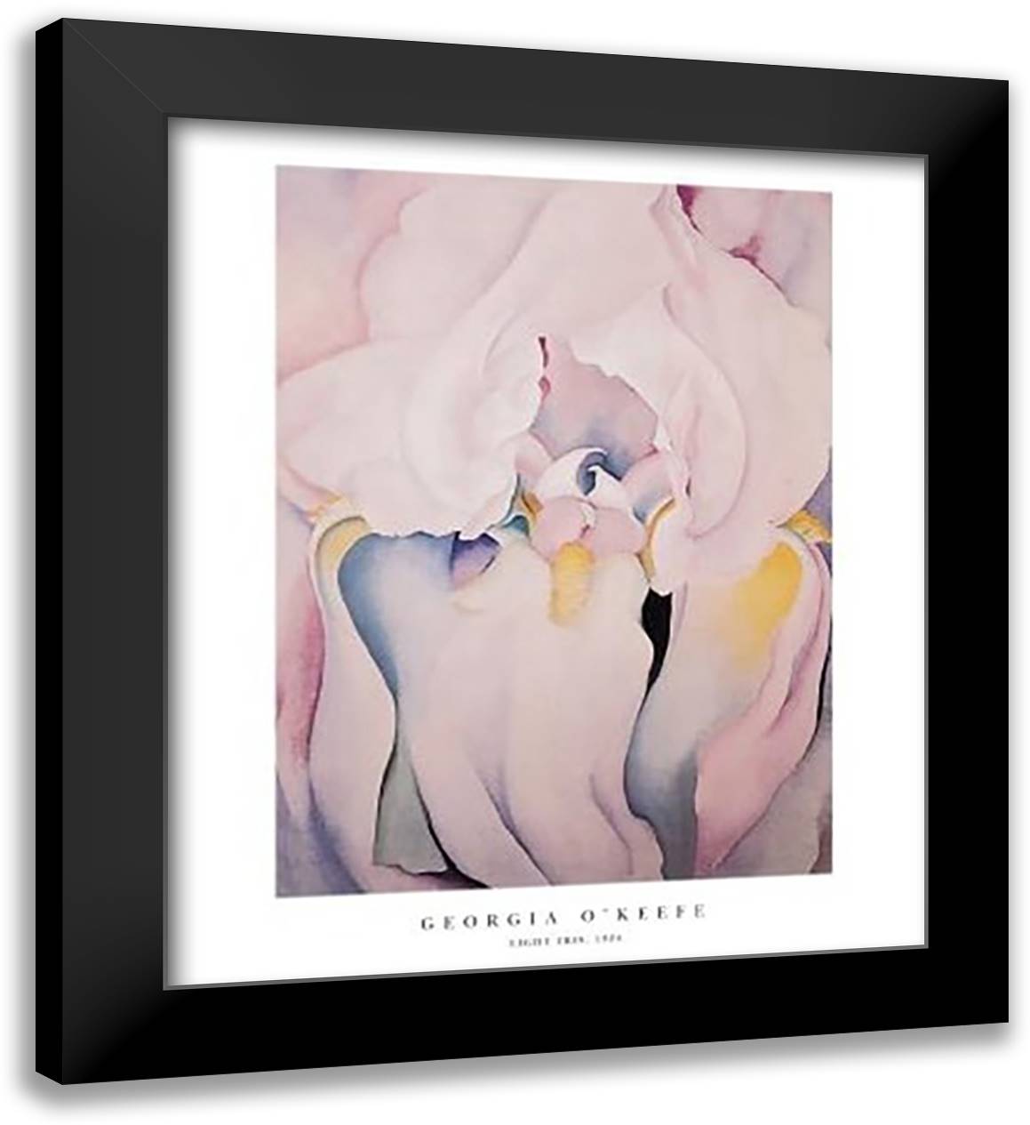 Light Iris, 1924 26x32 Black Modern Wood Framed Art Print Poster by O'Keeffe, Georgia