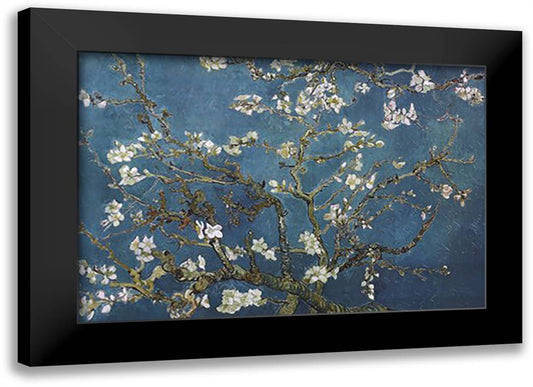 Almond Blossom San Ramy 1890 40x28 Black Modern Wood Framed Art Print Poster by Van Gogh, Vincent