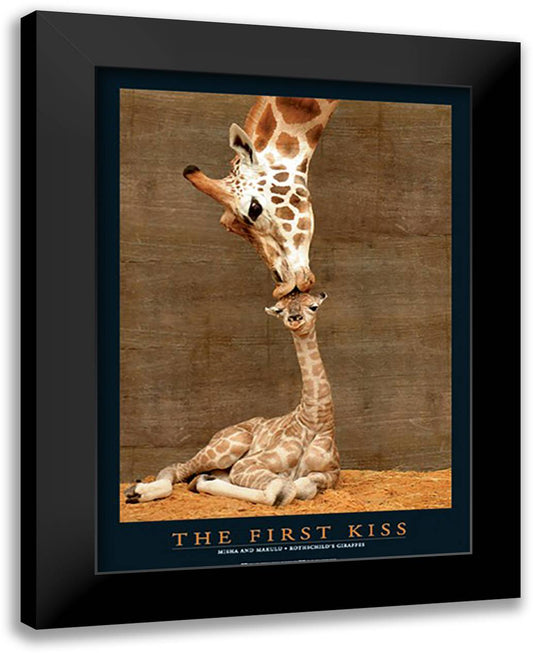 The First Kiss - Giraffe 28x40 Black Modern Wood Framed Art Print Poster