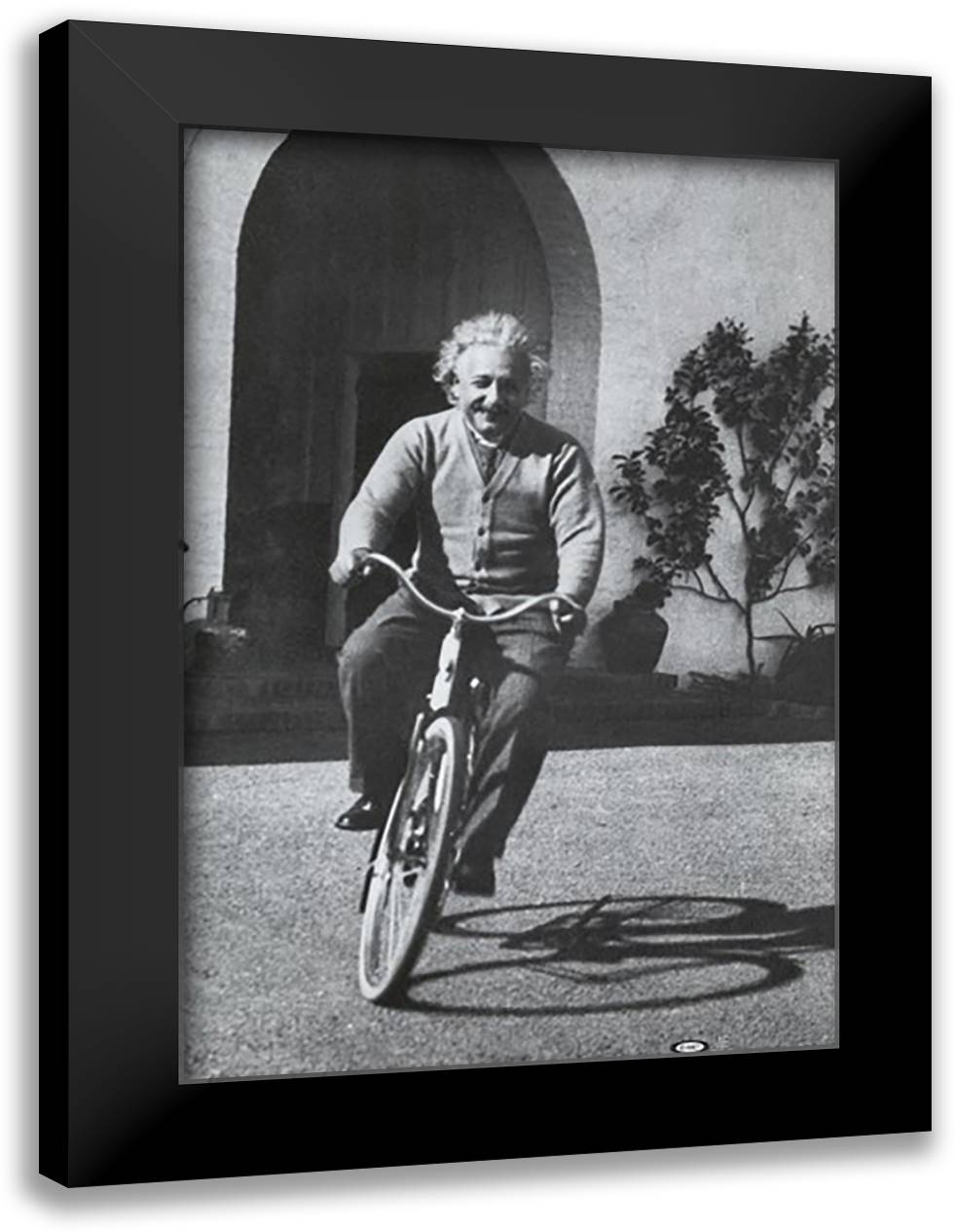 Albert Einstein - Bike 28x40 Black Modern Wood Framed Art Print Poster