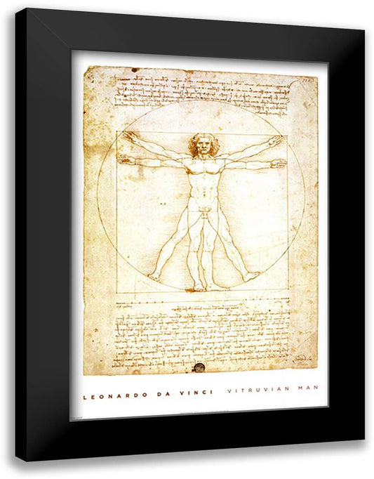 Vitruvian Man 28x40 Black Modern Wood Framed Art Print Poster by da Vinci, Leonardo