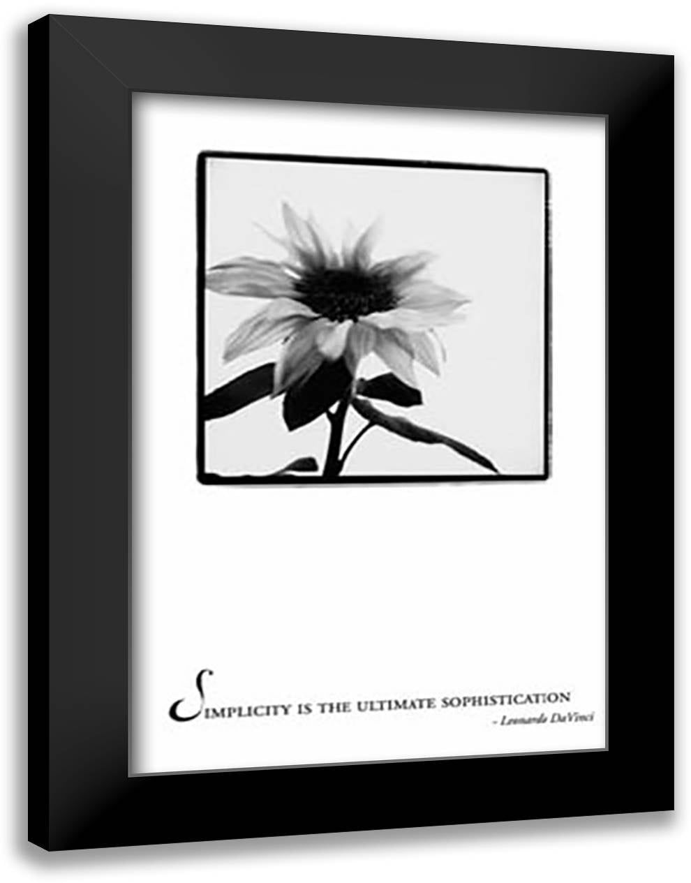 Simplicity - Flower 28x40 Black Modern Wood Framed Art Print Poster