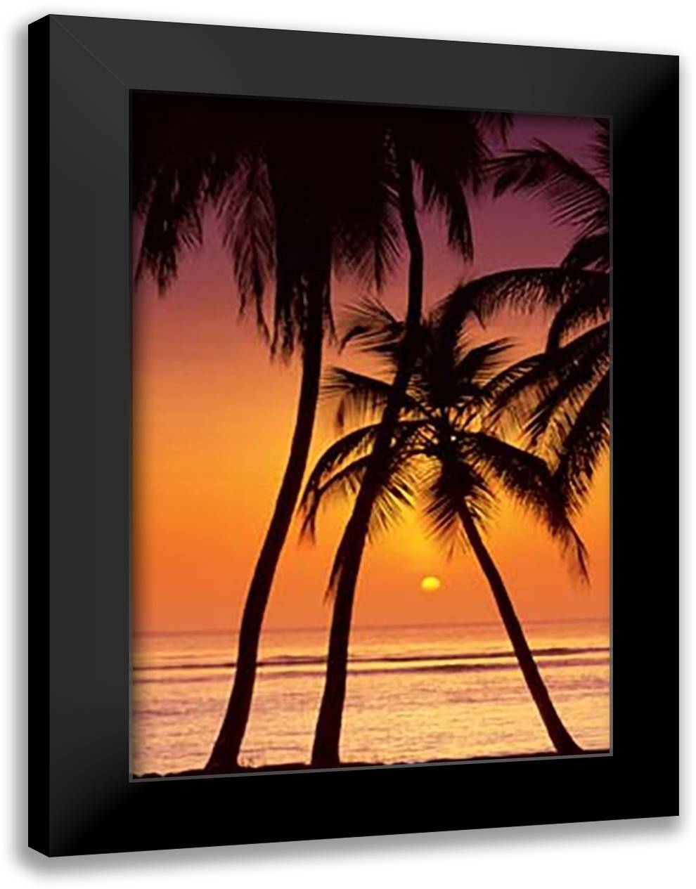 Tropical Sunset 28x40 Black Modern Wood Framed Art Print Poster