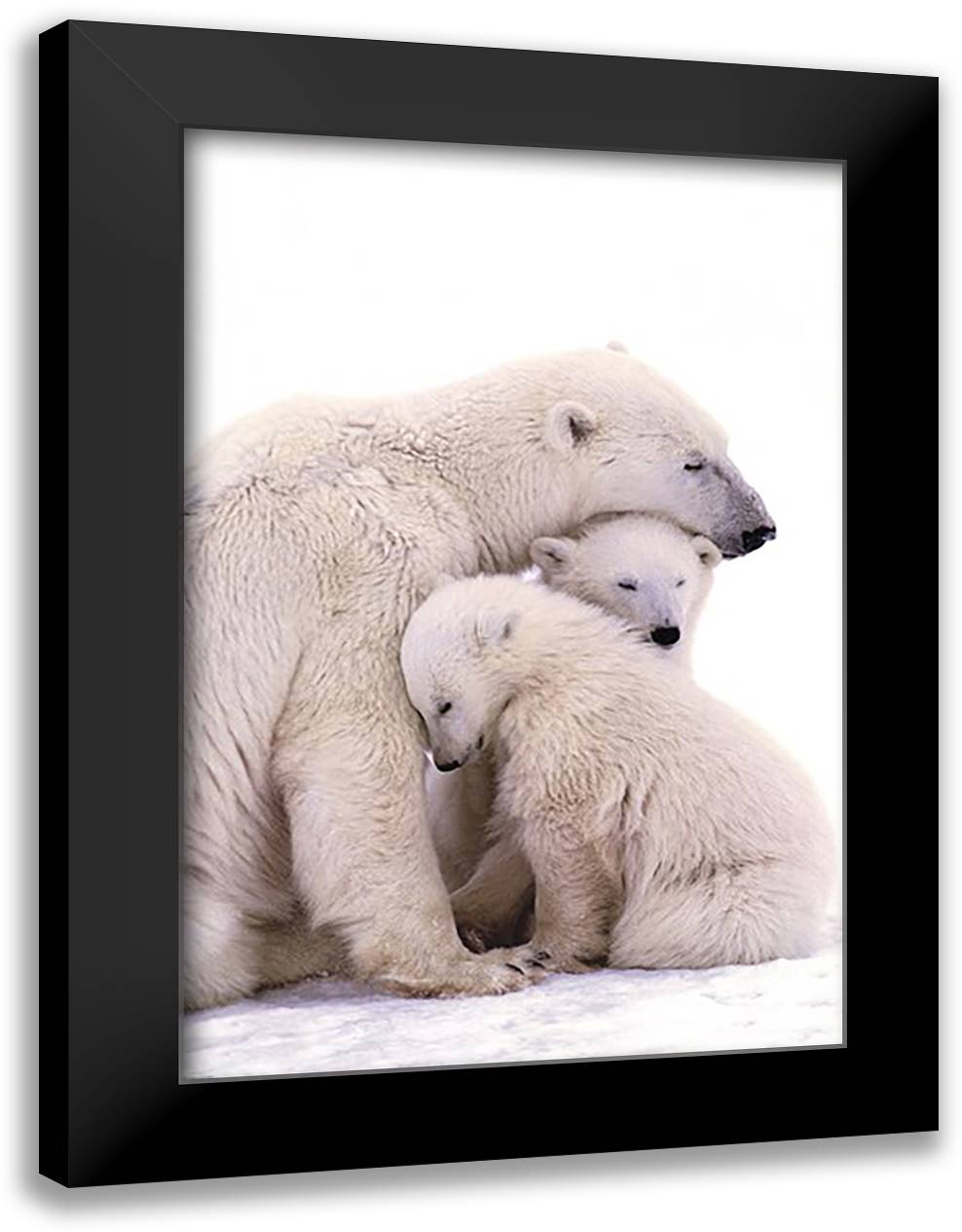 Polar Bear Family 28x40 Black Modern Wood Framed Art Print Poster