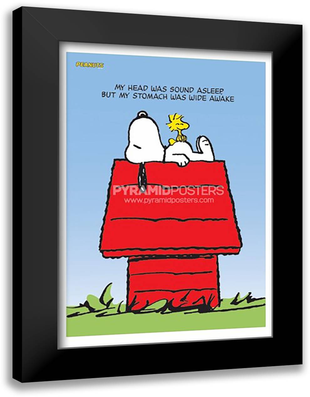 Snoopy & Woodstock 28x40 Black Modern Wood Framed Art Print Poster