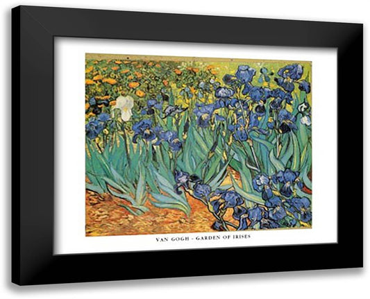 Garden Of Irises 18x15 Black Modern Wood Framed Art Print Poster by Van Gogh, Vincent