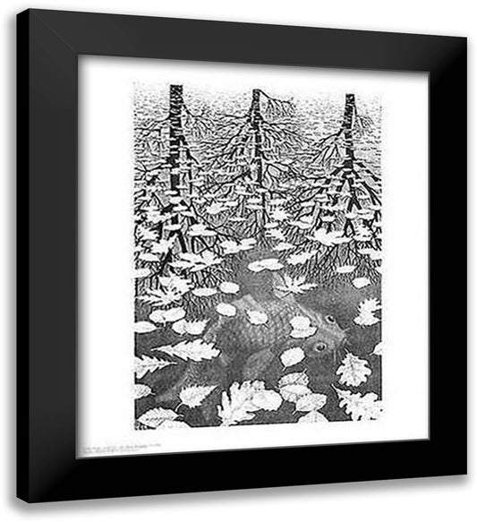 Three Worlds 15x18 Black Modern Wood Framed Art Print Poster by Escher, M.C.