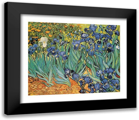 Garden Of Irises 32x26 Black Modern Wood Framed Art Print Poster by Van Gogh, Vincent