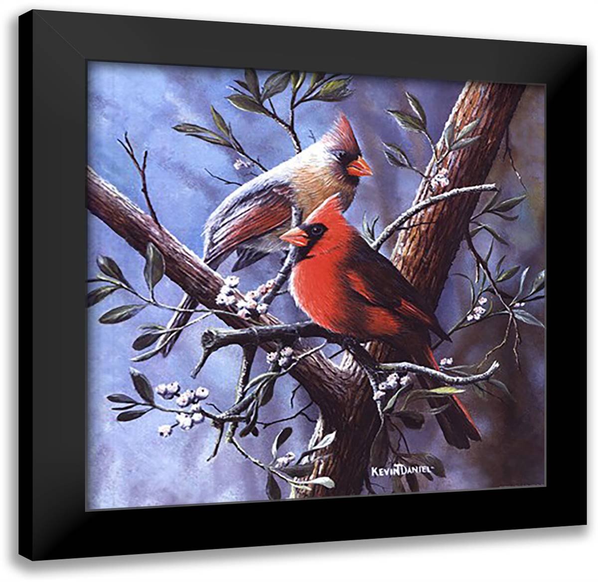 Cardinal 16x16 Black Modern Wood Framed Art Print Poster by Daniel, Kevin