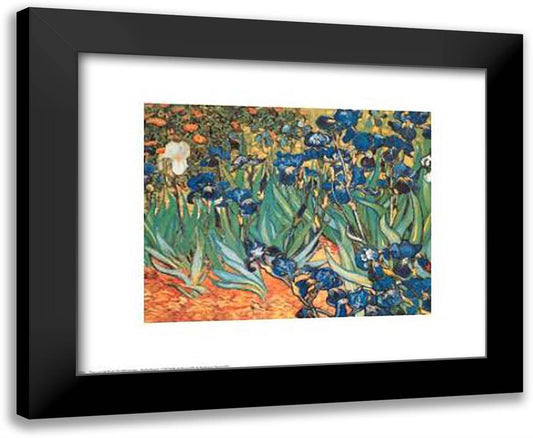 Iris Garden 24x20 Black Modern Wood Framed Art Print Poster by Van Gogh, Vincent