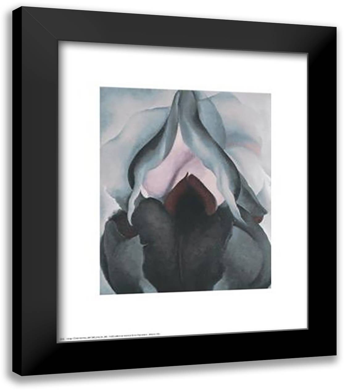 Black Iris, 1906 20x24 Black Modern Wood Framed Art Print Poster by O'Keeffe, Georgia