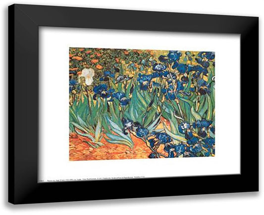 Iris Garden 18x15 Black Modern Wood Framed Art Print Poster by Van Gogh, Vincent