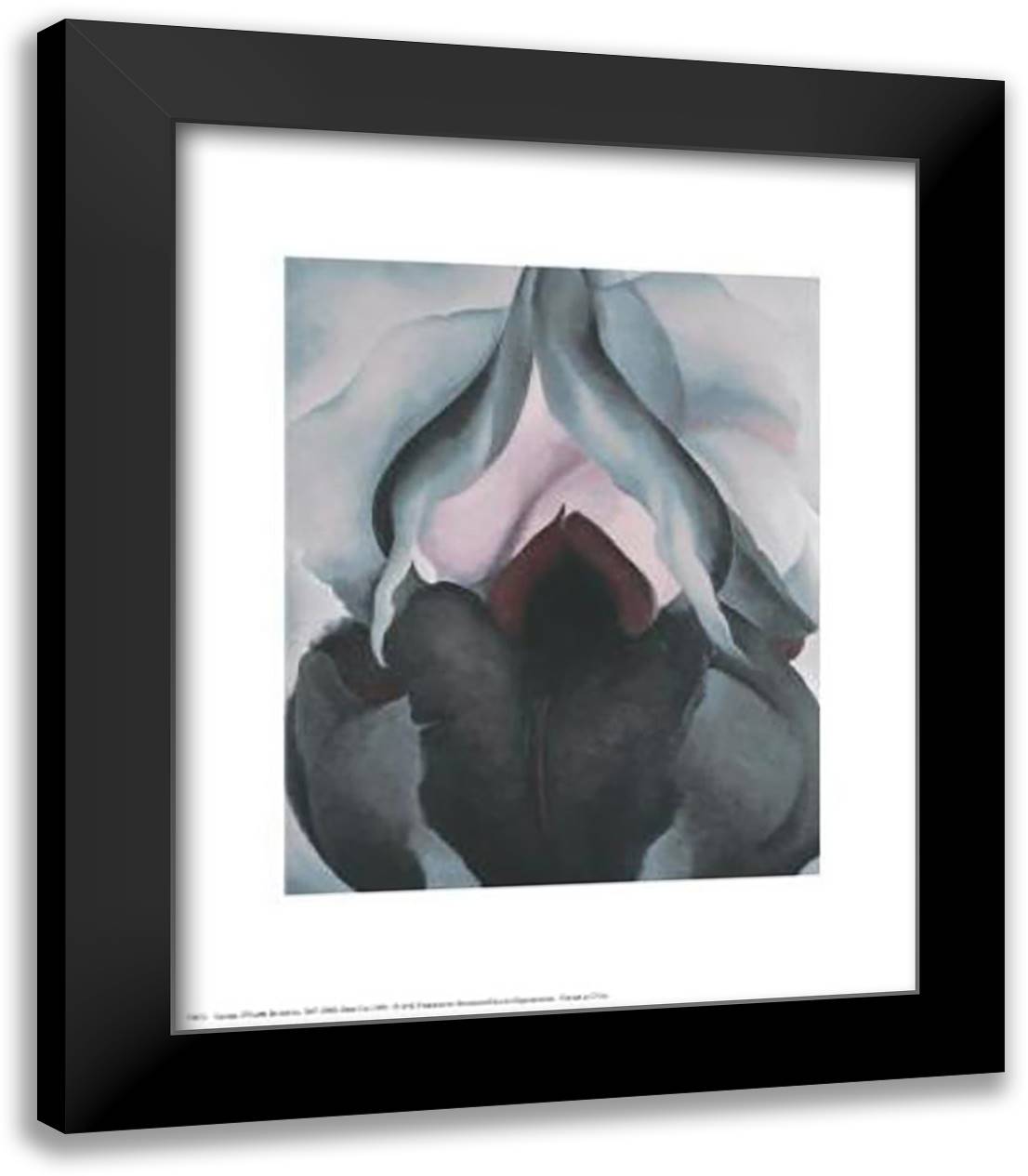 Black Iris, 1906 15x18 Black Modern Wood Framed Art Print Poster by O'Keeffe, Georgia