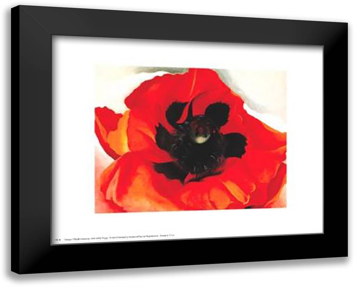 Poppy 18x15 Black Modern Wood Framed Art Print Poster by O'Keeffe, Georgia