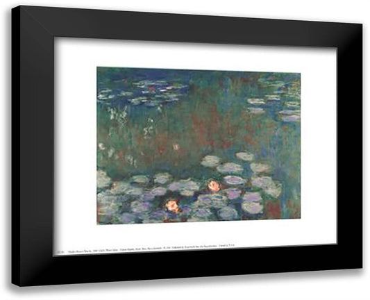 Water Lilies 18x15 Black Modern Wood Framed Art Print Poster by Monet, Claude