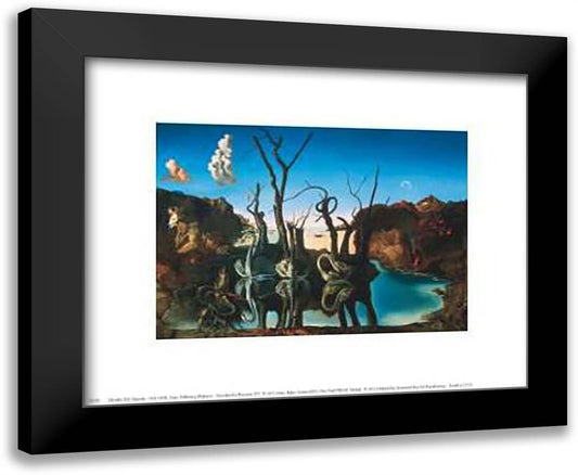 Swans Reflecting as Elephants 14x12 Black Modern Wood Framed Art Print Poster by Dali, Salvador