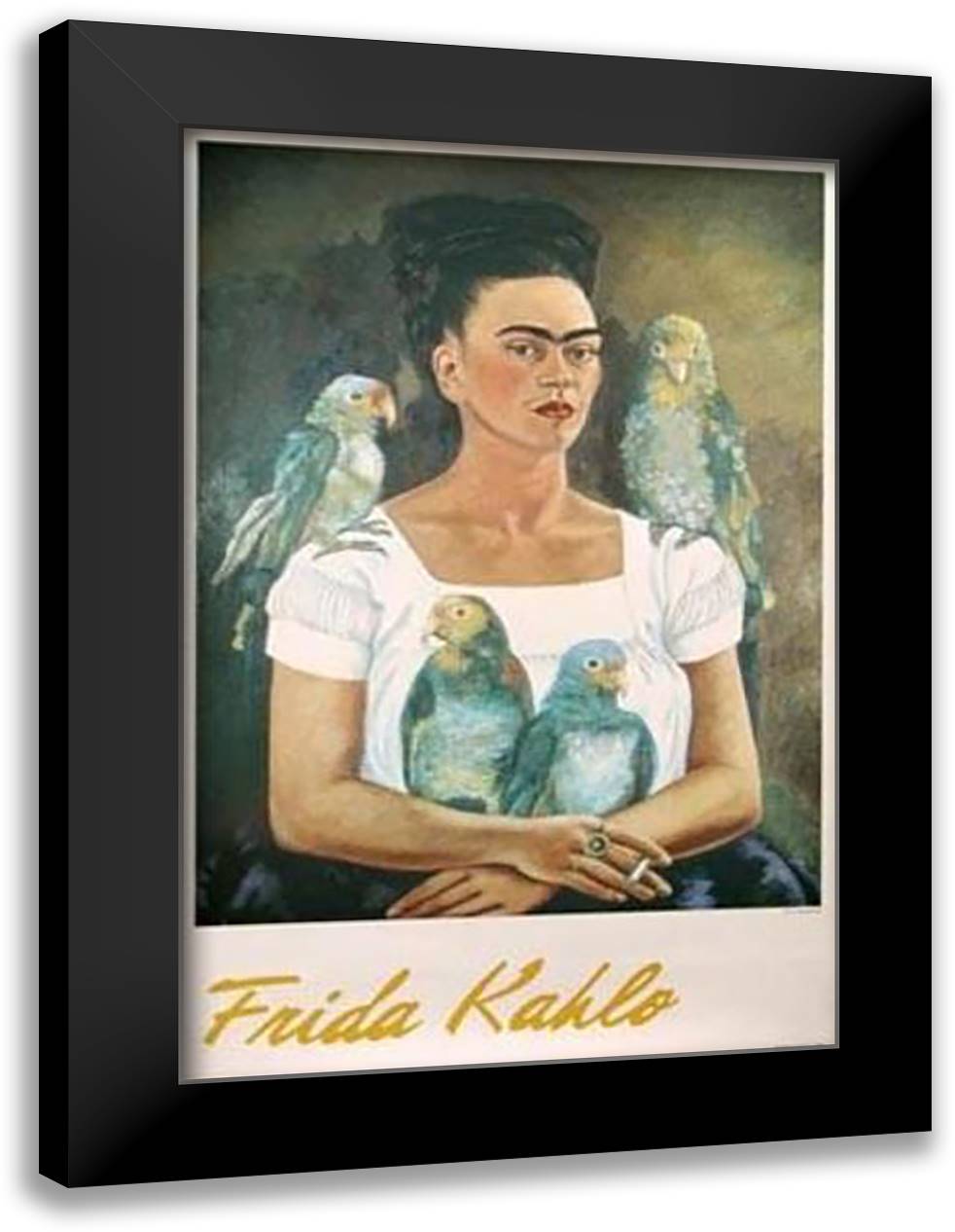 Yo Y Mis Pericos 22x32 Black Modern Wood Framed Art Print Poster by Kahlo, Frida