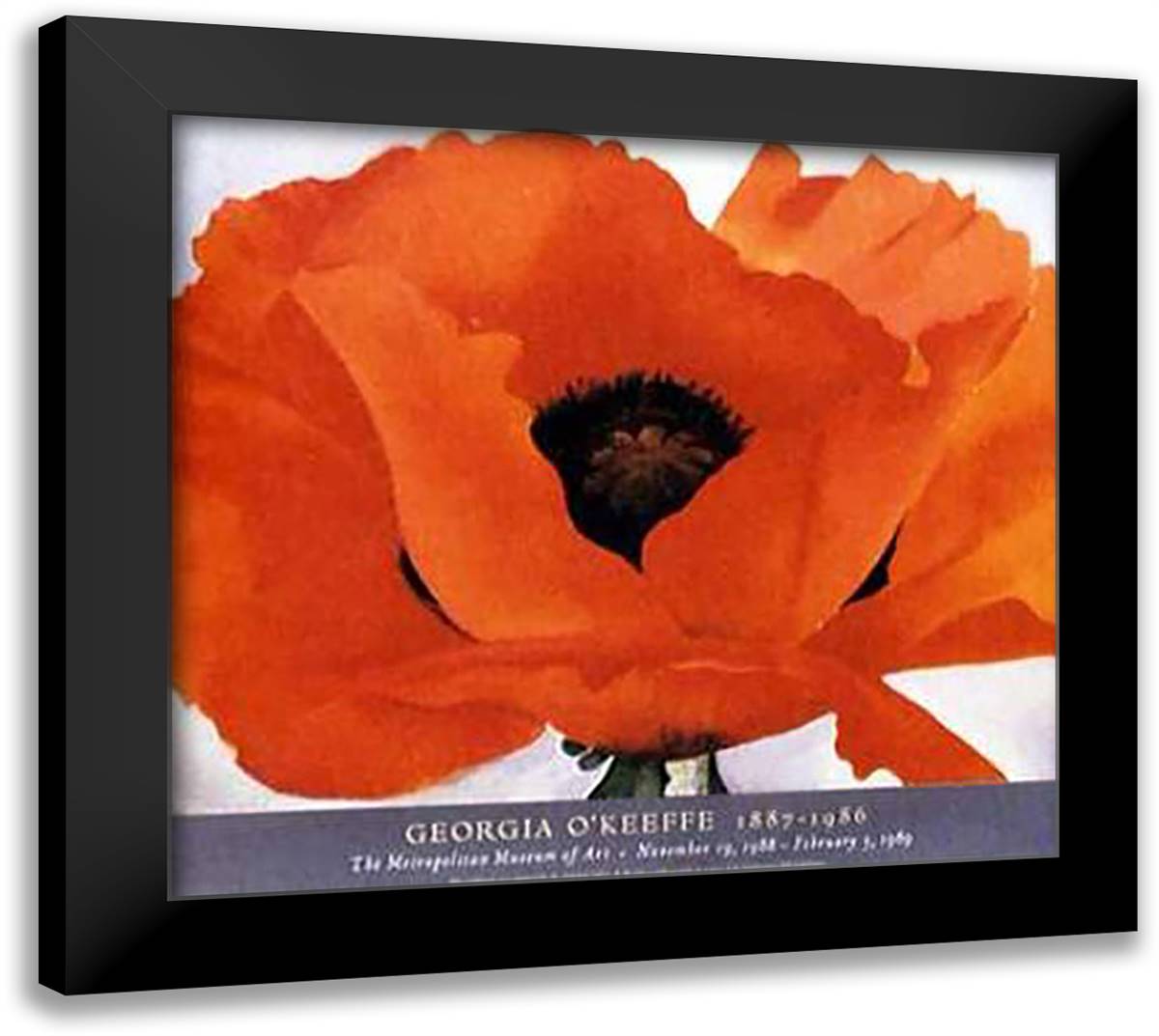 Red Poppy 32x28 Black Modern Wood Framed Art Print Poster by O'Keeffe, Georgia