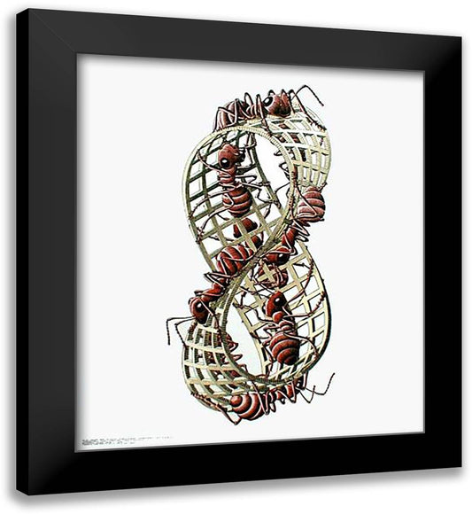 Mobius Strip 26x30 Black Modern Wood Framed Art Print Poster by Escher, M.C.