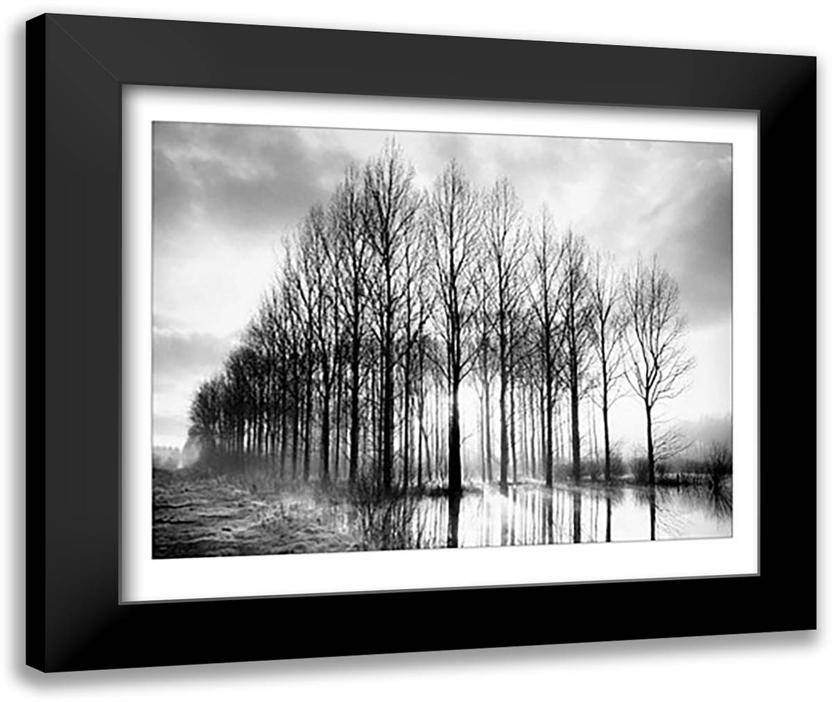 Trees in Normandy 24x20 Black Modern Wood Framed Art Print Poster by Philip, Bill