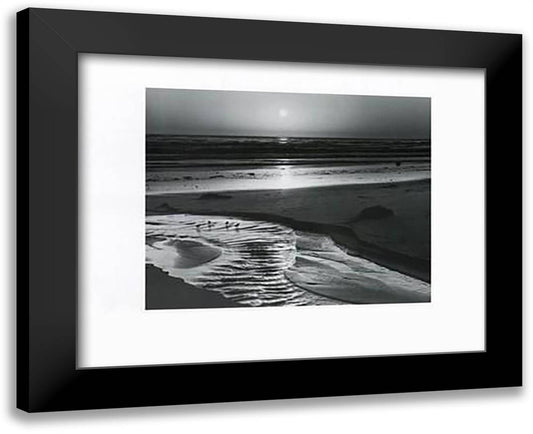 Birds On A Beach 18x15 Black Modern Wood Framed Art Print Poster by Adams, Ansel