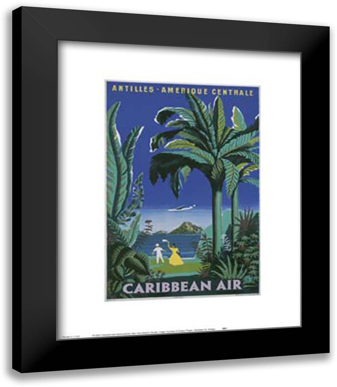 Caribbean Air 15x18 Black Modern Wood Framed Art Print Poster