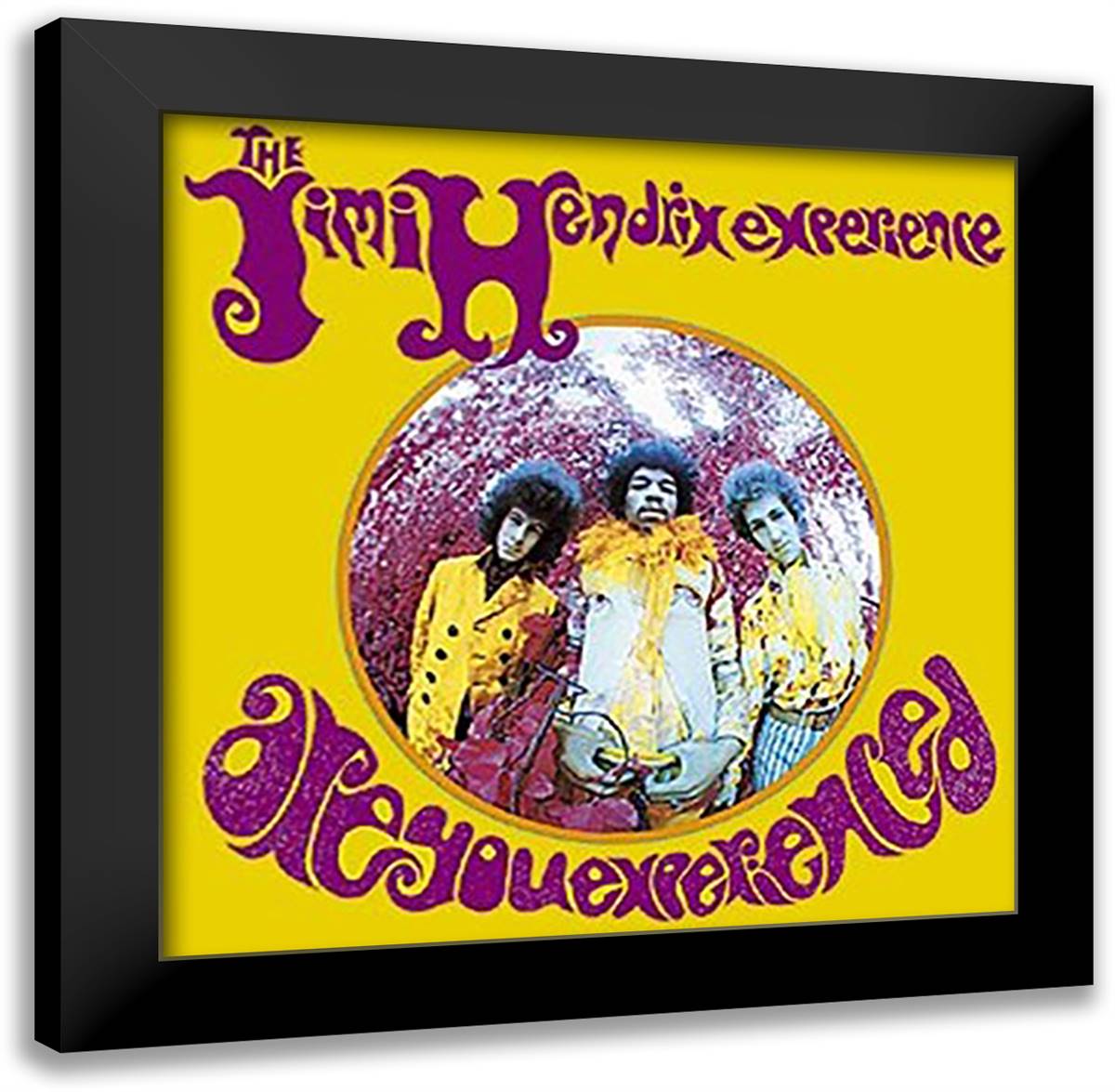 Jimi Hendrix, are you experienced 20x20 Black Modern Wood Framed Art Print Poster