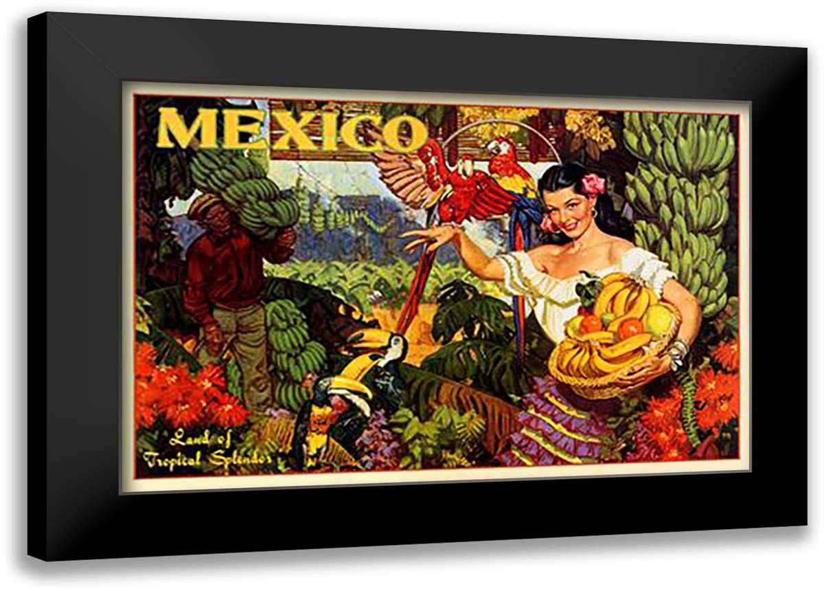 Mexico, Land Of Tropical Splendor 25x19 Black Modern Wood Framed Art Print Poster